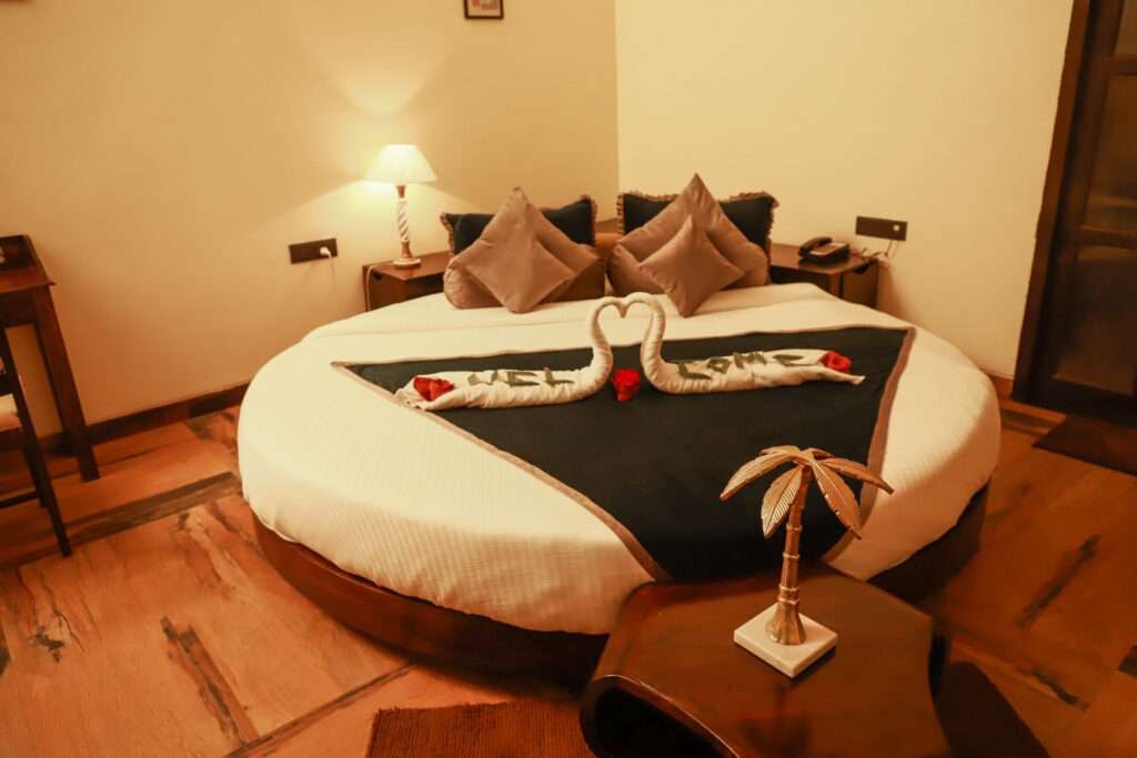 image decruoton