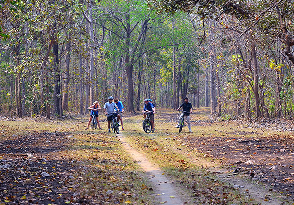 CYCLE SAFARI